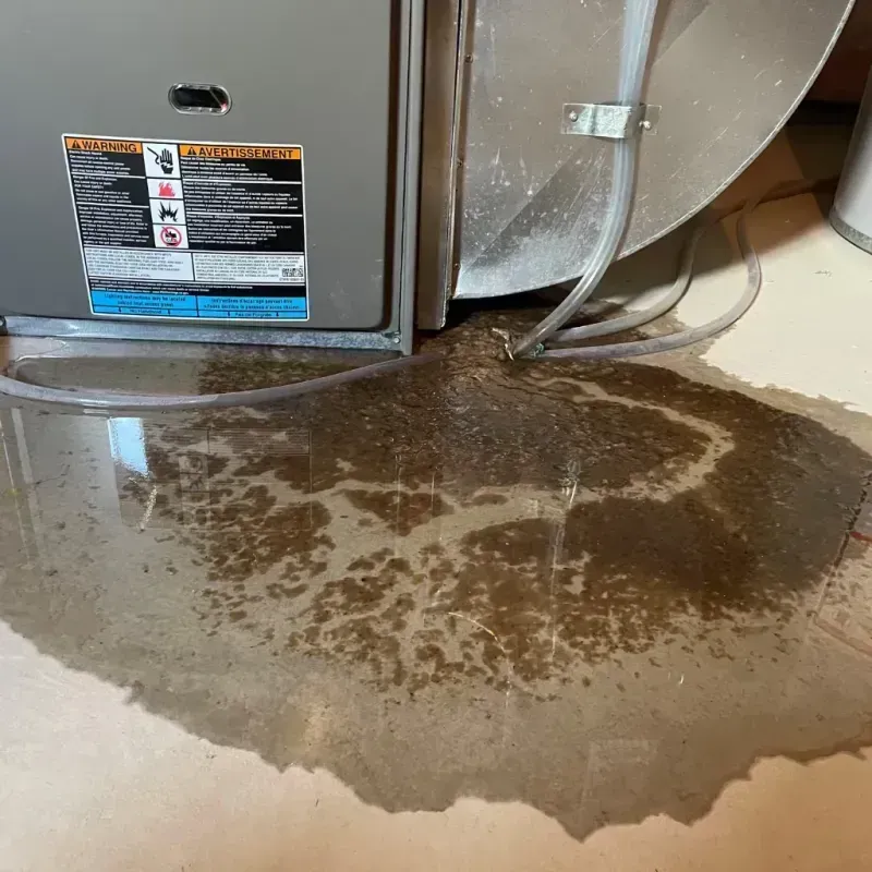 Appliance Leak Cleanup in Hampton, MD